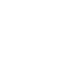 Experienced Team