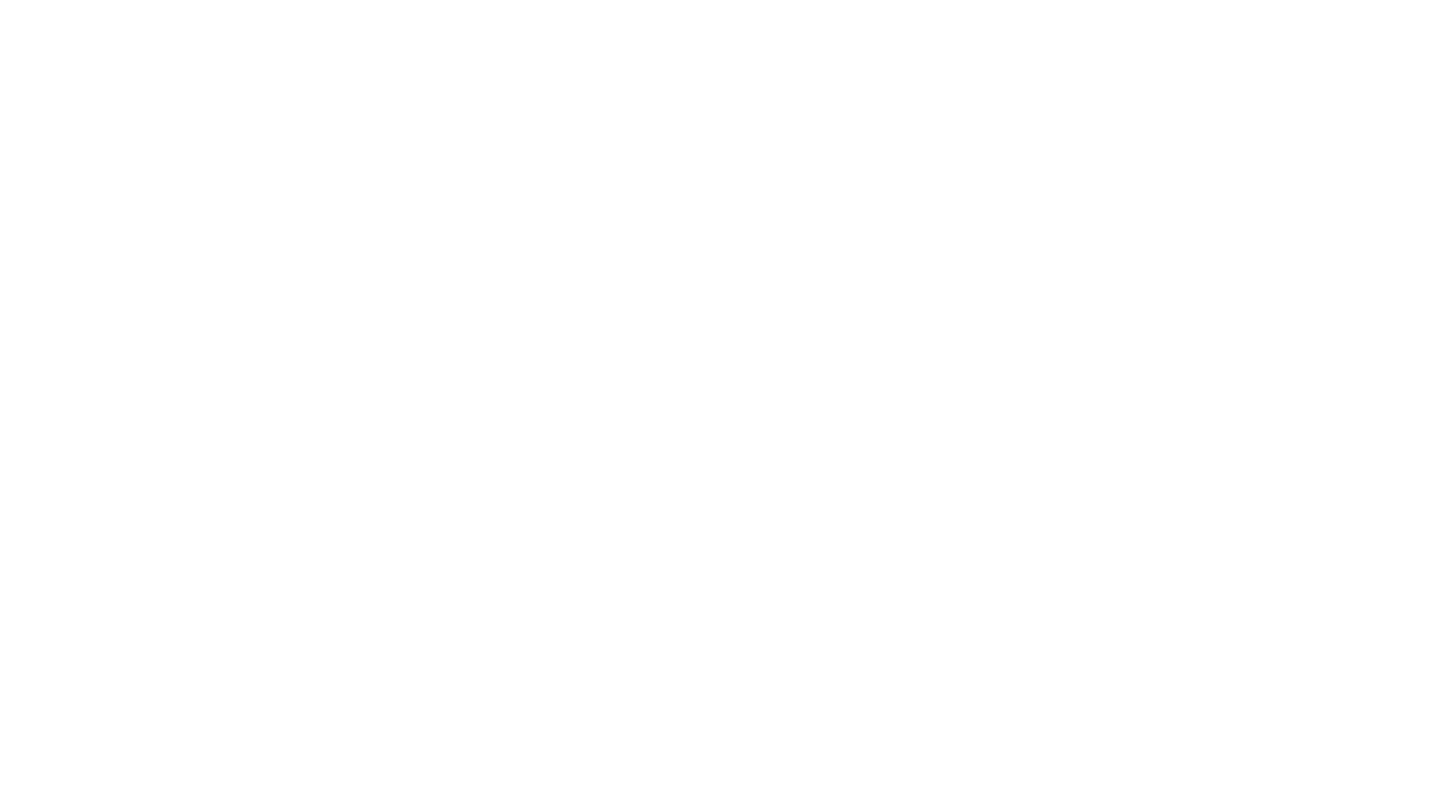Anita Infra